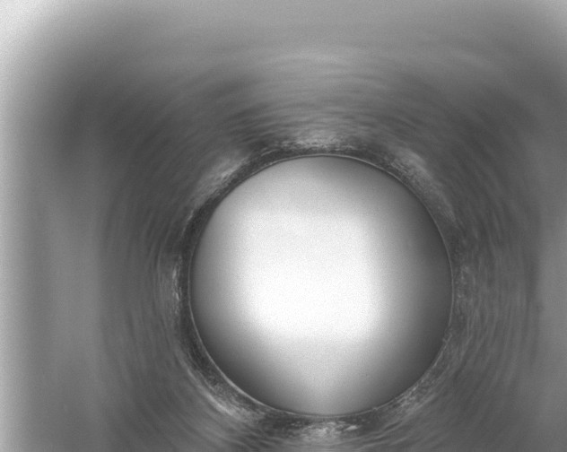 X0000059040116200510211944