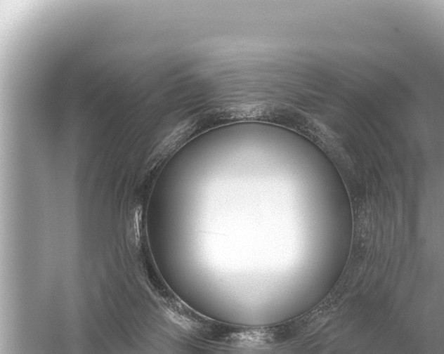 X0000059040118200510211944