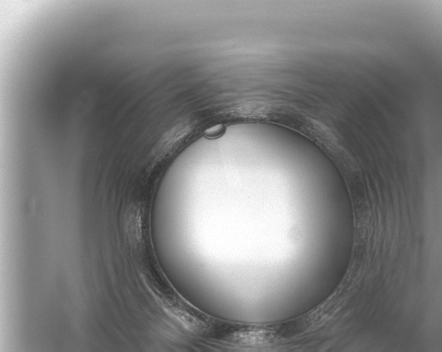 X0000059040120200510211944