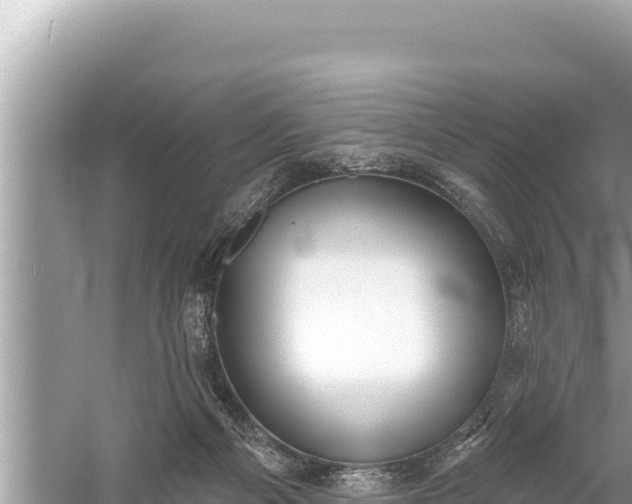 X0000059040121200510211944