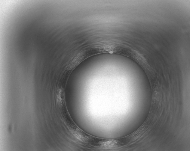 X0000059040122200510211944