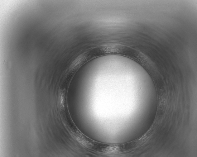 X0000059040124200510211944