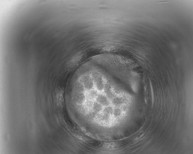 X0000059040127200510211944