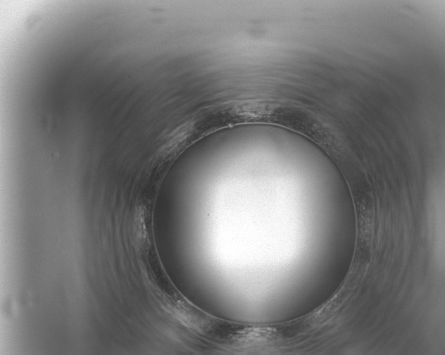 X0000059040128200510211944