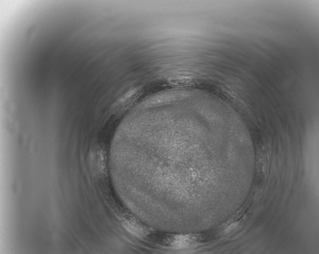 X0000059040130200510211944