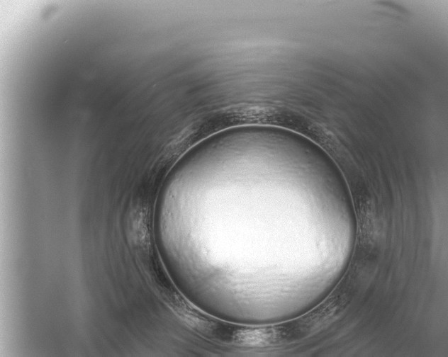 X0000059040131200510211944