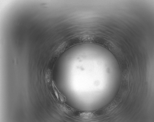 X0000059040133200510211944