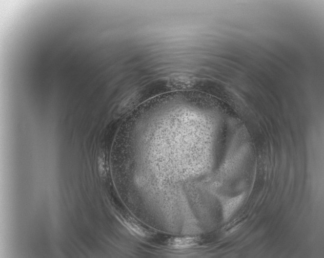 X0000059040134200510211944