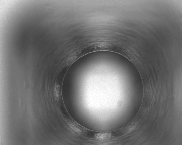 X0000059040135200510211944