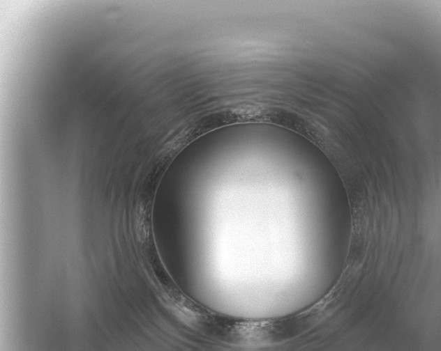 X0000059040136200510211944