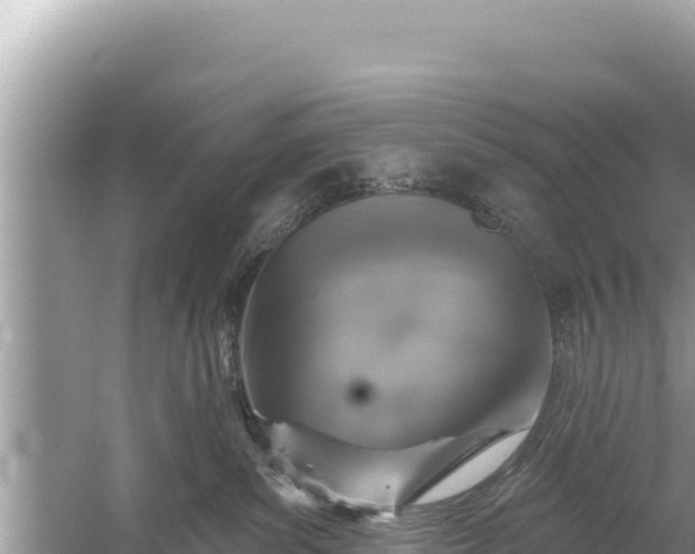 X0000059040139200510211944