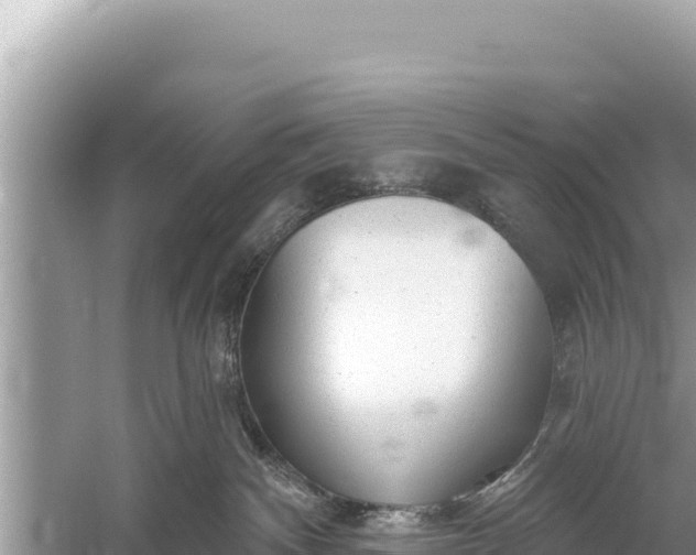 X0000059040140200510211944