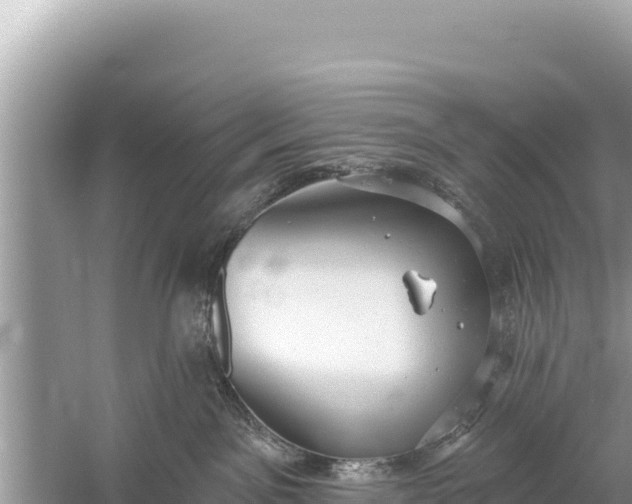 X0000059040141200510211944