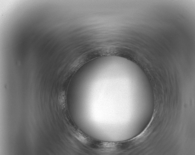 X0000059040144200510211944