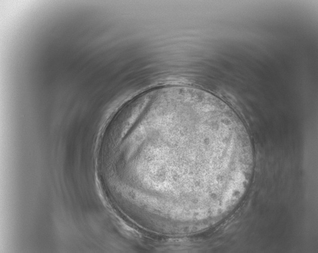 X0000059040145200510211943