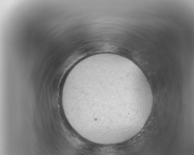 X0000059040146200510211943