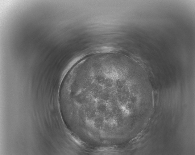 X0000059040147200510211943