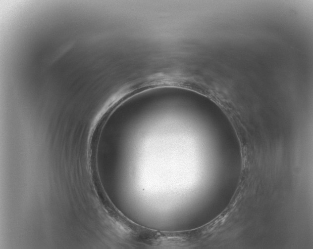 X0000059040150200510211943