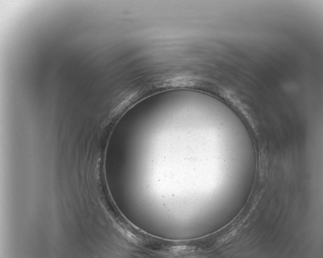 X0000059040153200510211943