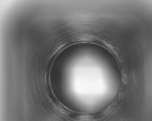 X0000059040154200510211943