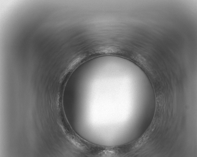 X0000059040159200510211943