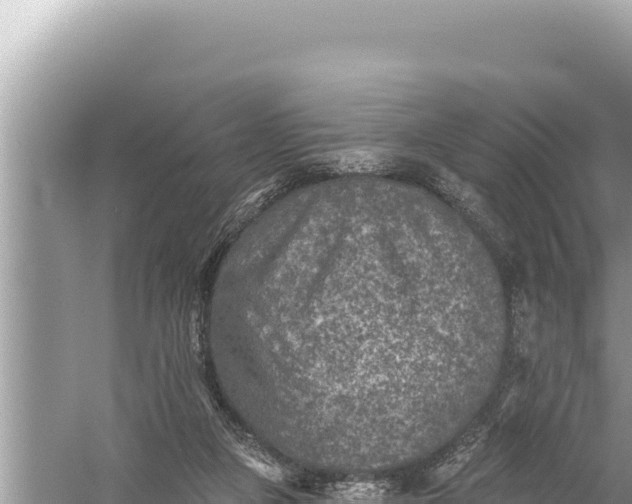 X0000059040161200510211943