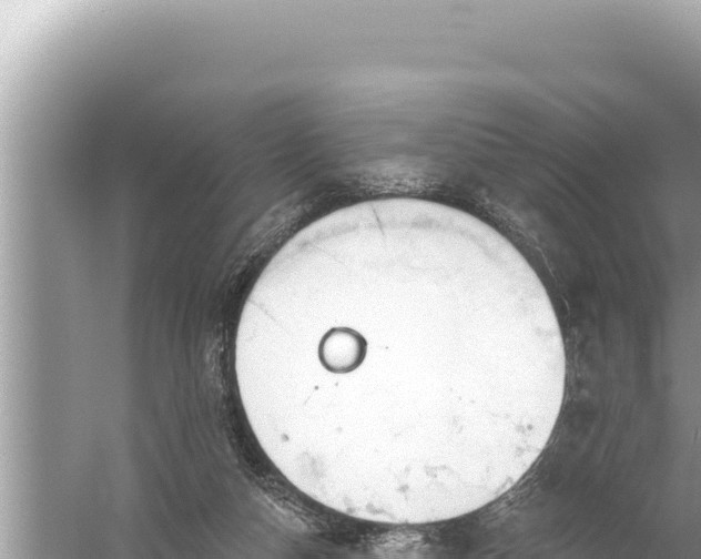 X0000059040162200510211943