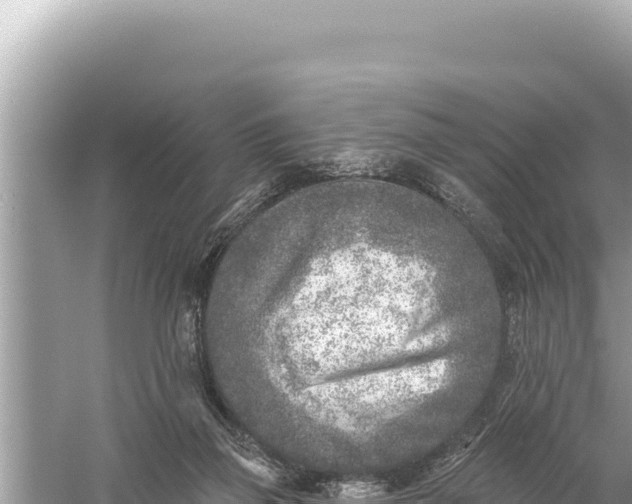 X0000059040165200510211943