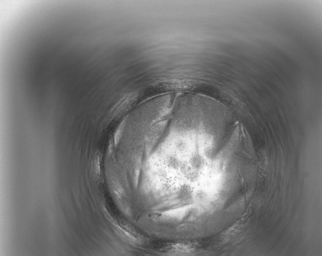 X0000059040166200510211943