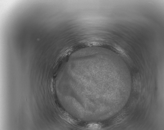 X0000059040169200510211943