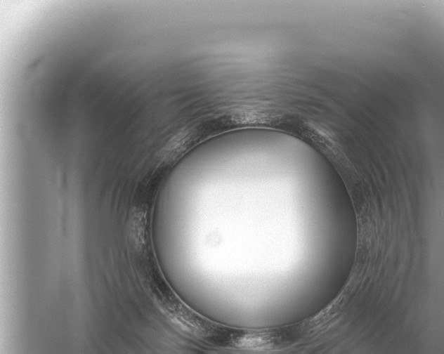 X0000059040171200510211943