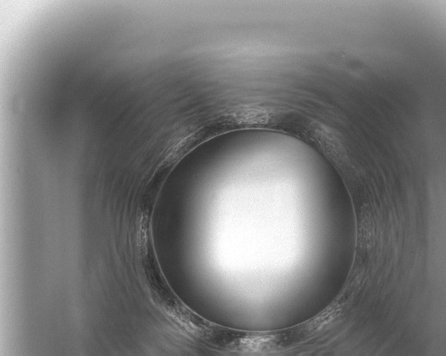 X0000059040172200510211943