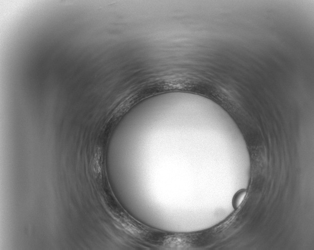 X0000059040174200510211943