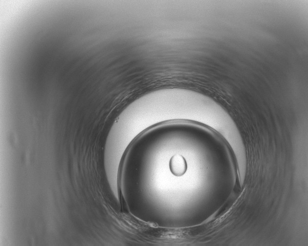 X0000059040175200510211943