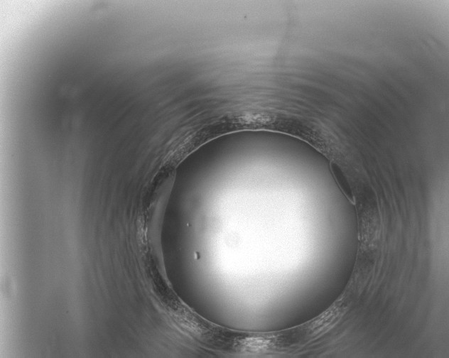 X0000059040176200510211943