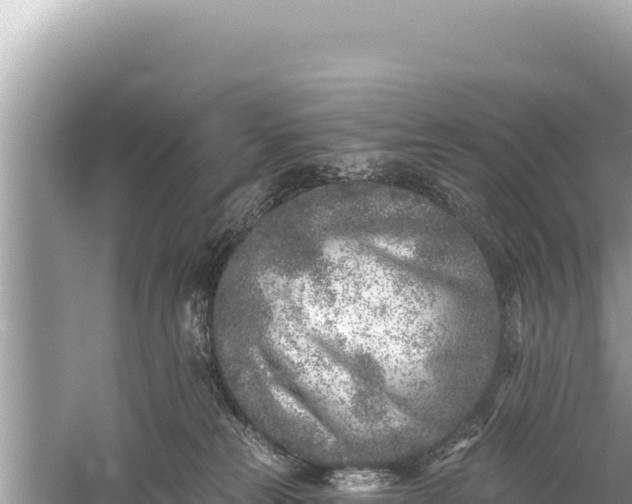 X0000059040181200510211943