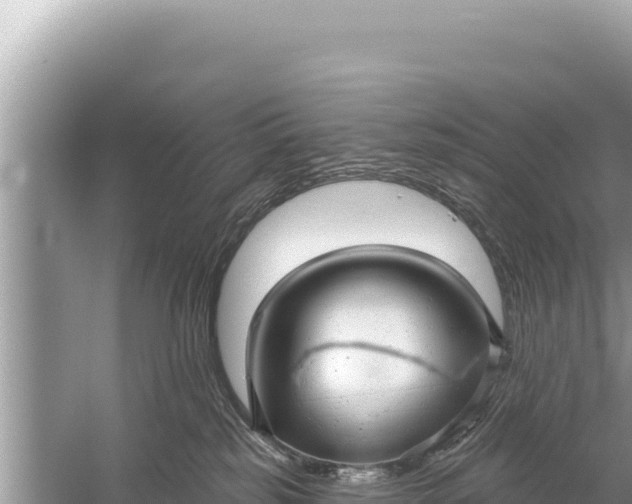 X0000059040185200510211943