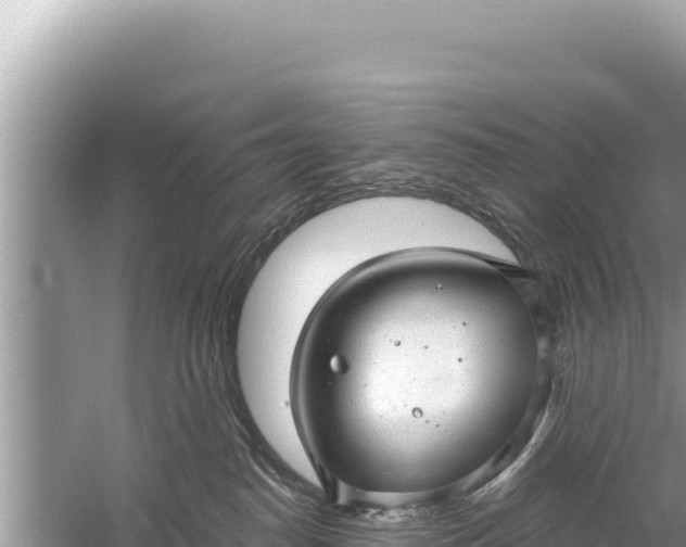 X0000059040186200510211943