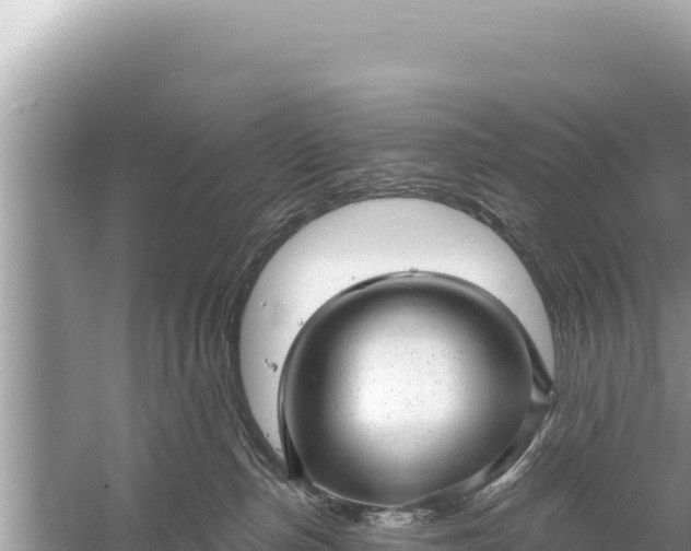 X0000059040187200510211943