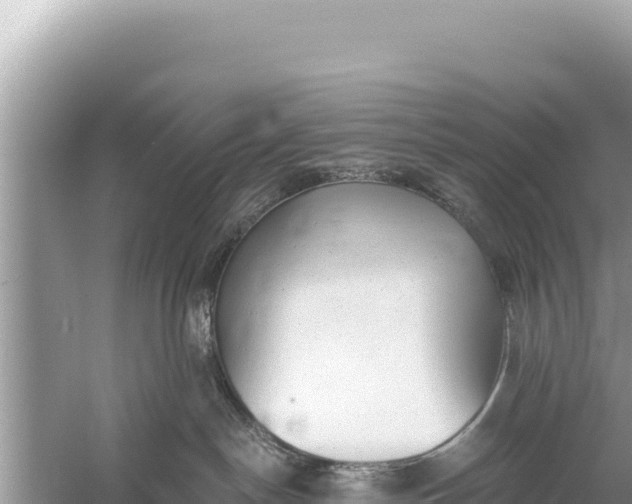 X0000059040190200510211944