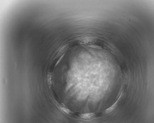 X0000059040191200510211944