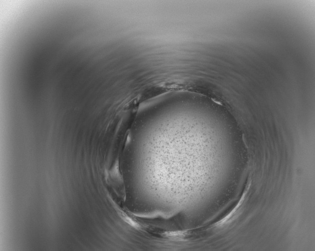 X0000059040192200510211944