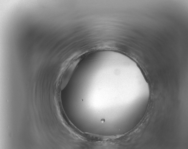 X0000059040193200510211943