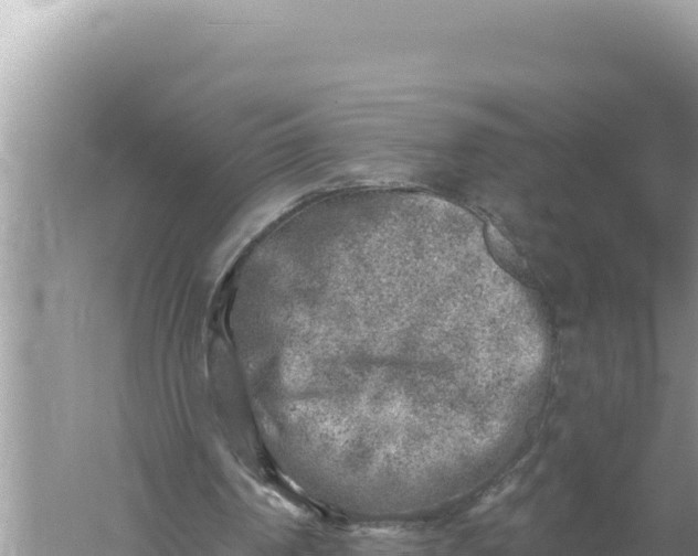 X0000059040194200510211943