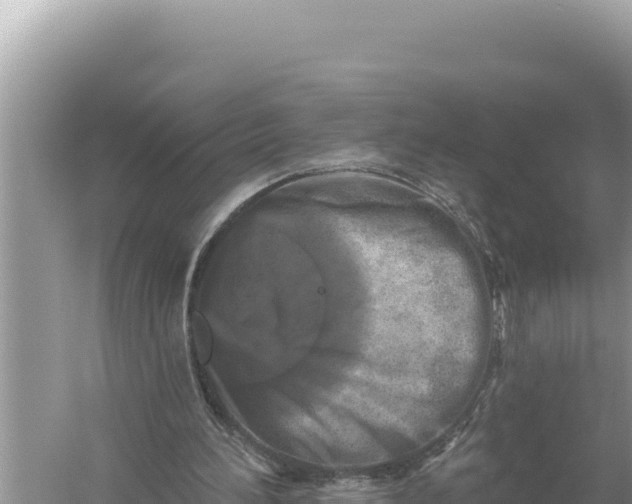 X0000059040196200510211943