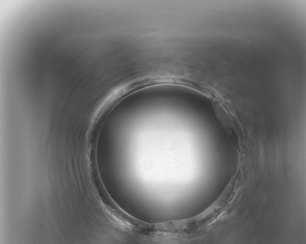 X0000059040197200510211943