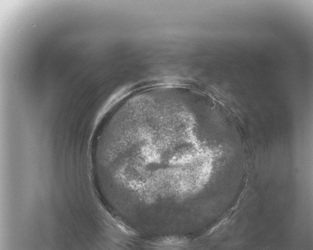 X0000059040198200510211943