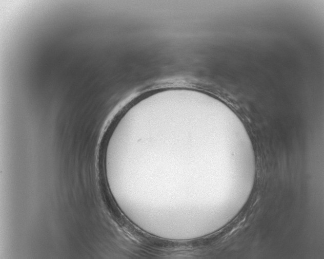 X0000059040200200510211943