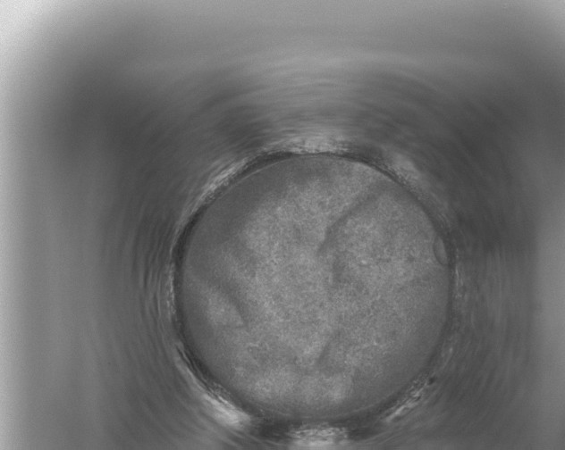 X0000059040202200510211943