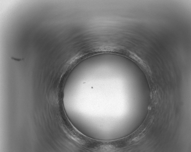 X0000059040203200510211943